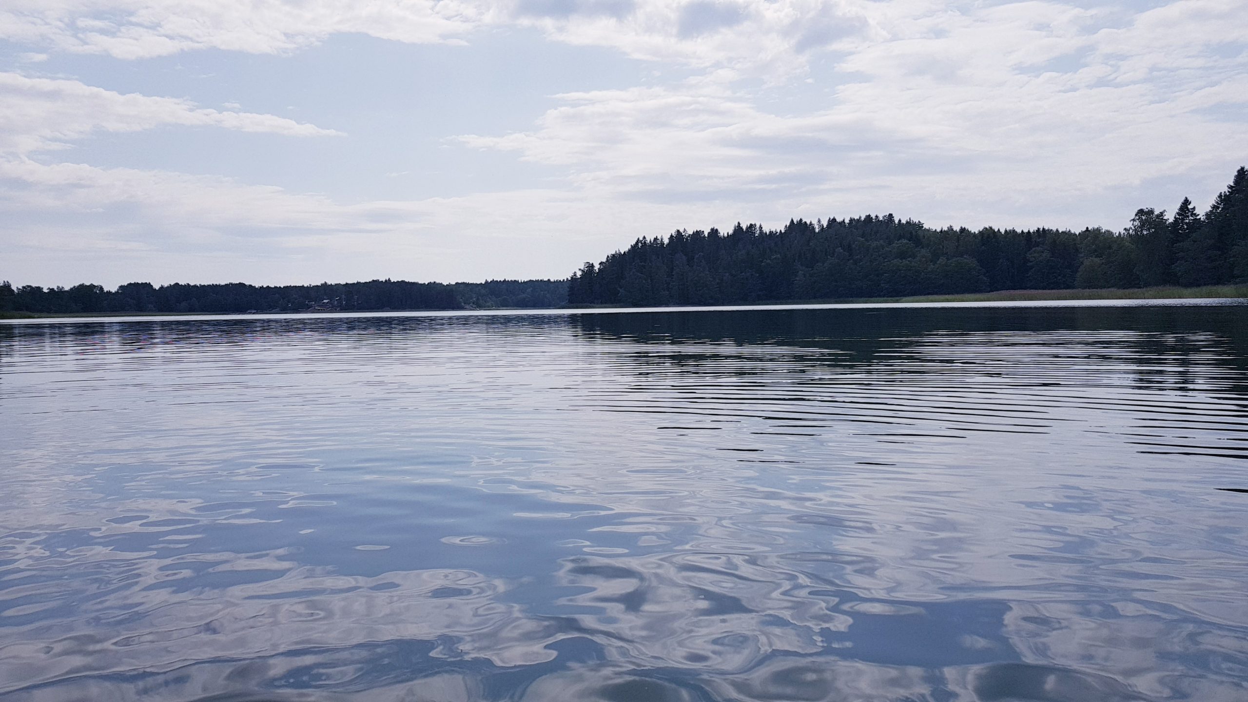 Läs mer om artikeln Kustvattendag 19.9.2024